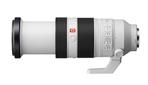 'Objetivo Sony FE 100-400mm f/4.5-5.6 GM OSS Blanco, Full-Frame' - Fernando Cortés 'Objetivo Sony FE 100-400mm f/4.5-5.6 GM OSS Blanco, Full-Frame' - Fernando Cortés