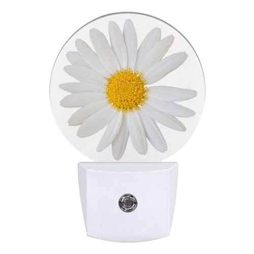 Image of Daisy Night Light Chamomile Night Lights LED Lamp Round Plug into Wall Nightlight with Dusk to Dawn Sensor Home Hallway Stairway Kitchen Decor