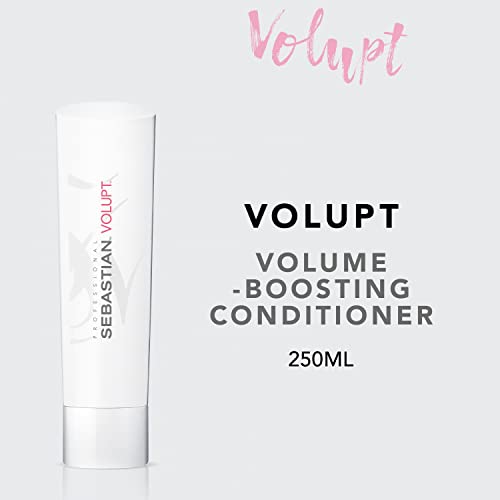 Consejos para Comprar Volupte , tabla con los diez mejores. 21 Imagen adicional