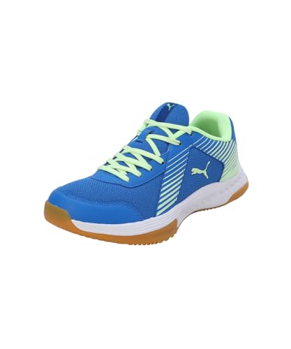 Puma Unisex Non Marking Badminton Shoes