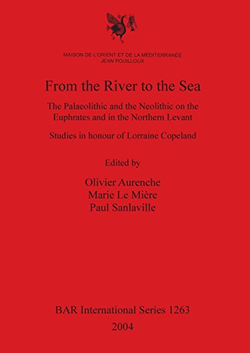 From the River to the Sea: The Palaeolithic and the Neolithic on the Euphrates and in the Northern Levant (BAR International)