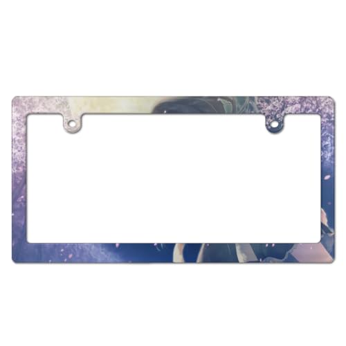 杉菜水姫 ナンバーフレーム ナンバープレート フレーム 普通車/軽自動車 カーアクセサリー 錆びにくい 掛けやすい 装飾ボーダー 簡単取付