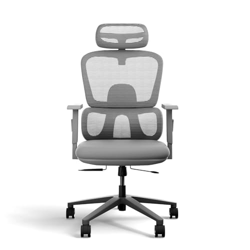 Image of AeroMesh Ergo Chair, Adjustable Armrests & Headrest, Lumbar Support, Breathable Mesh Back Fabric, Customizable Seat Depth & Height, Office Chair,120 kg Capacity- Grey
