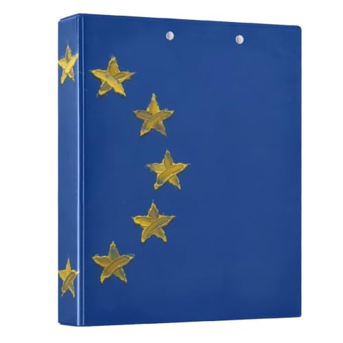 Classeur peinture à l'huile drapeau européen à anneaux D robustes lot de 2