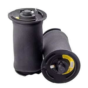 DZWDY Luftfeder Hinten für E60 E61 (2 Stück)