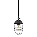 Seaport Mini Pendant Brushed Champagne Bronze with BCB Metal Cage