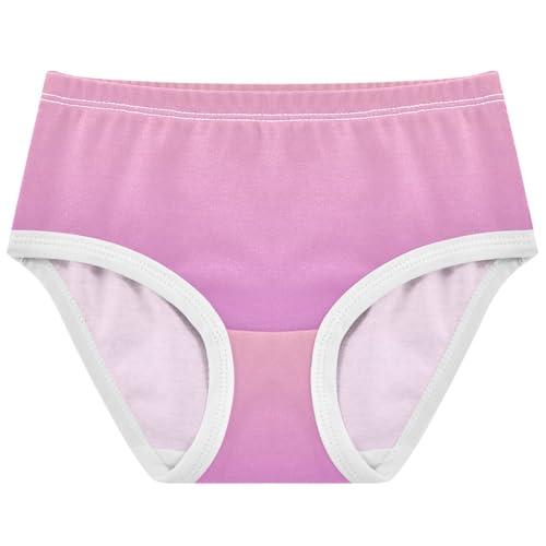 Joisal Blush Pink Orchid Gradient Panties for Girl Toddler Underwear Floral Cotton Cartoon Briefs Underpants 2t