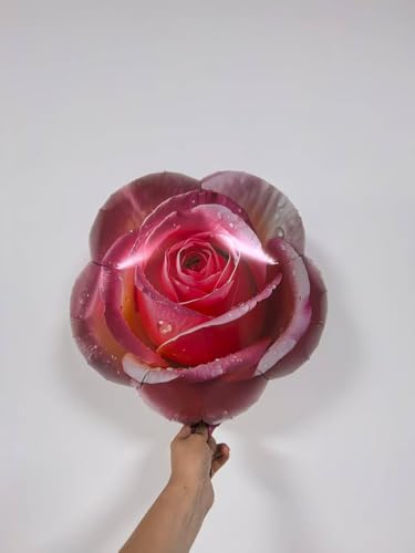 Image of Rose Balloons Pink Flower Balloons for Rose Party Decorations Floral Birthady Party Decor Two Dozen Roses Birthday Theme Party Decorations Floral Baby Shower Fairy Alice Decorations Valentines Day