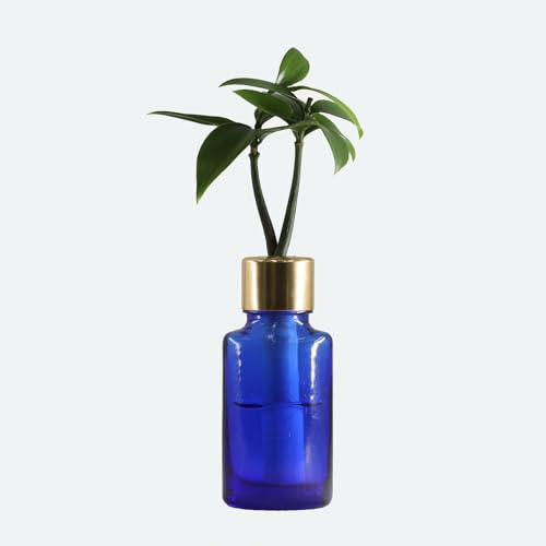 {×̐A uǉ _  (Ȃ) ̖؁vƁwI[oOX Rogu[ LbvxŷЂTCÝwsRc[ Pico TreexzyyȂ  ȒP G-STICKz