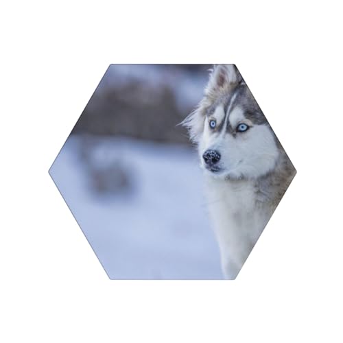 Blue Eyed Dog Untersetzer für Getränke, runde saugfähige Keramikstein-Untersetzer, Set mit 6 Stück, mit Halter für verschiedene Tassen, Heimdekoration, 10,2 cm, sechseckig