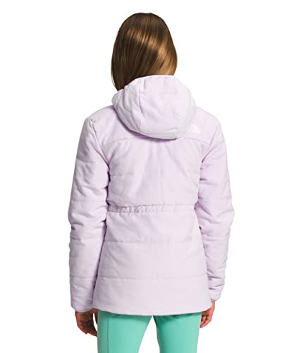 The North Face Girls' Reversible Mossbud Swirl Parka, Lavender Fog, Large #TOP1