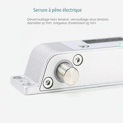 Serrure électrique drop à boulon NC 12V avec retard pour montage en surface - 6