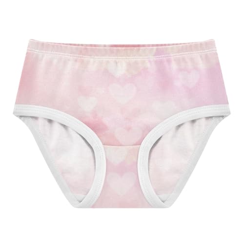Briefs Elastic Waistband Panties Organic Underwear for Toddlers in Sizes 2T,3T, 4T, 5T, 6Y and 8Y