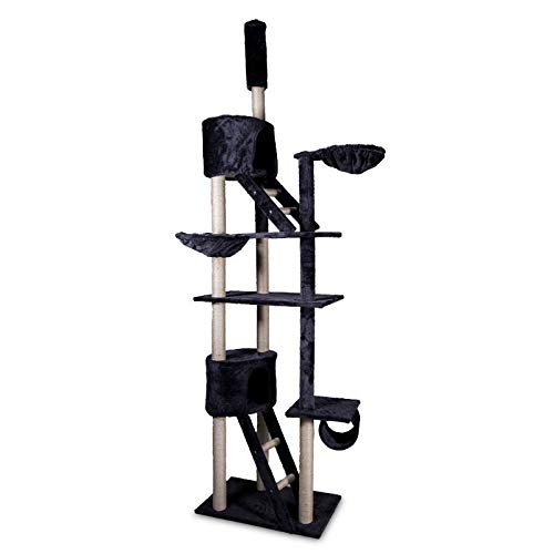 San Marco Graffiatoio a Colonna per Gatti con