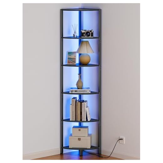 LED Corner Shelf Organizer
