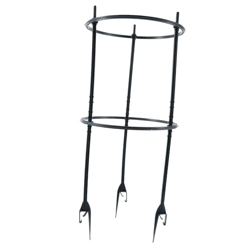 Toddmomy Mensola per Piante in Vaso in Plastica Resistente Supporto per Piante Rampicanti da Interno Esterno Decorazione per Vasi Adatto Filodendri Rampicanti Fioriere e Altre