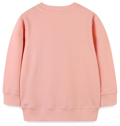 Image of Hongshilian Unisex Kids Cute Cartoon Cotton Sweater Shirt