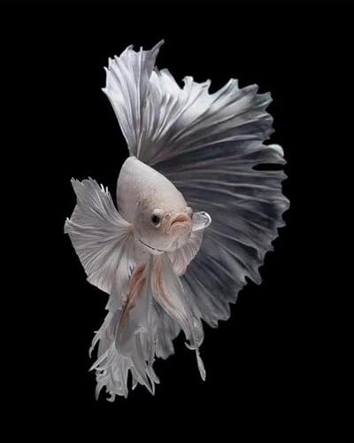 Pskgbxmu 11CT Kit per Punto Croce Prestampato pesce migliore Ricamare Fai da Te Kit da Completo per Principianti Home Decor 40x50cm