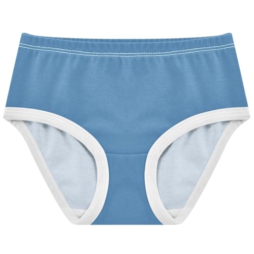 Joisal Aesthetic Toddler Girls Underwear 2t Cotton Panties Little Girl Steel Blue Briefs Underpants