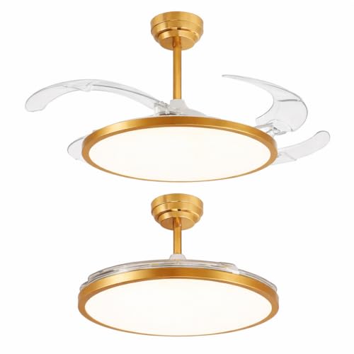 Image of oltao Zyro Slim Retractable Ceiling Fan with BLDC Motor, 3 Colour LED Light, Summer /Winter Mode and Remote, 42 inch Sweep (2026 Model) (Gold)