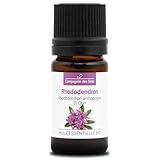 Rhododendron (Rhododendron anthopogon) BIO – 5 mL – Aceite Esencial Premium – 100% Puro, Natural – Quimiotipado e Integral
