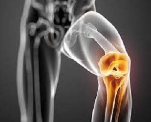 Vitamínicos, Imagen adicional