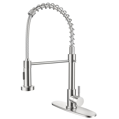 FEELSO Kitchen Faucet with Pull Down Sprayer
