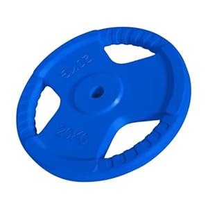 GORILLA SPORTS® Hantelscheiben – 1,25kg, 2,5kg, 5kg, 10kg, 15kg, 20kg, 25kg, 30kg Gewichte, Einzeln/Set, 30mm, aus Gusseisen mit Gummi Gripper, Farbwahl – Gewichtsscheiben