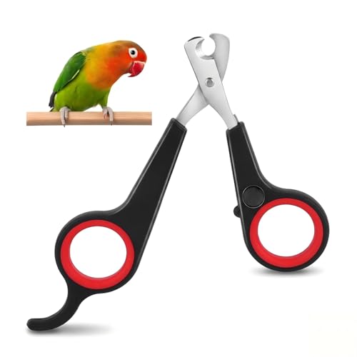 ANKROYU Cortaunas Pajaro, Tijeras para Garras de Pájaros y Loro