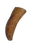 QT Dog Buffalo Horn Core Chew (1 Case), Large