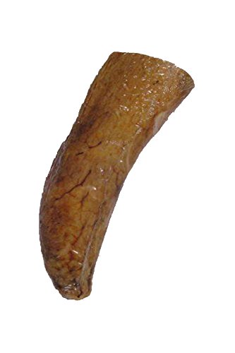 QT Dog Buffalo Horn Core Chew (1 Case), Large