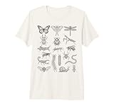 Entomología Insectos Cuadro de Especies Taxonomía Científica de Insectos Camiseta Premium