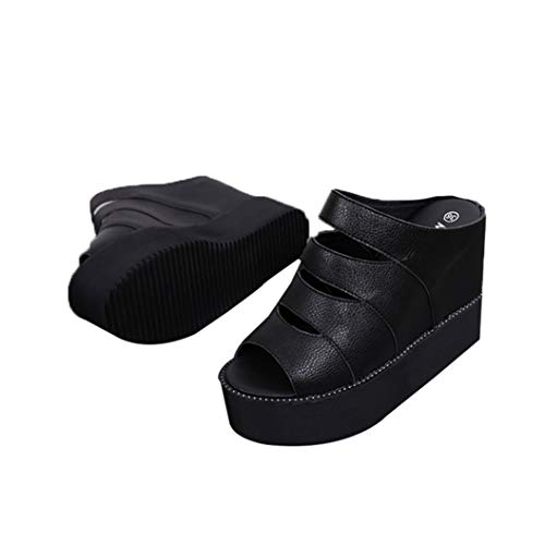 [hhV[Y] Xbp  T_EGbW\[T_  ~[ T_ fB[X 23.0cm EFbW\[ EFbWT_ 11.5cm I[vgD T{T_ nCq[ rT_ tF~j 킢  