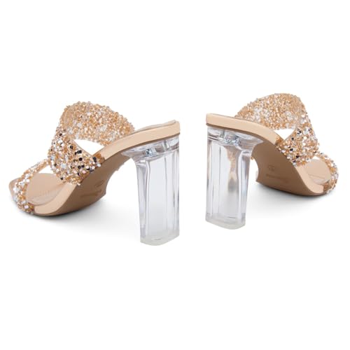 Image of Shoe Land Clear Heels for Women, Transparent Two Strap Chunky Block High Heel Mules, Slip On Square Toe Dressy Sandals for Wedding, Party, Prom