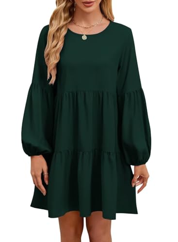Image of QACOHU Falll Dresses for Women 2026 Crew Neck Long Lantern Sleeve Casual Loose Flowy Swing Shift Dress