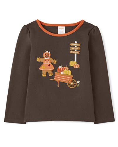 Image of Gymboree Girls' and Toddler Fall and Holiday Embroidered Graphic Long Sleeve T-Shirts