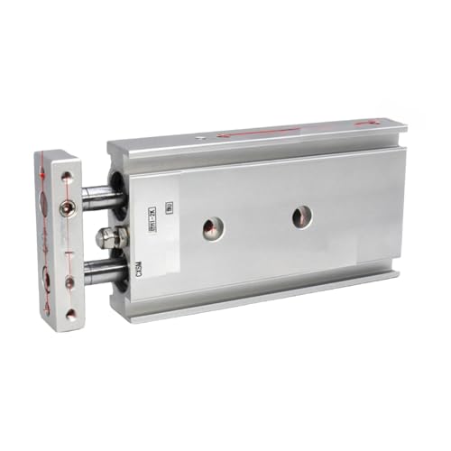 Cylindre pneumatique double tige CXSM10-150 vérin de guidage TR - 2