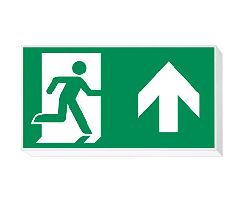 lisu - Luminaria emergencia superficie lisu-n rtd1331 blanco