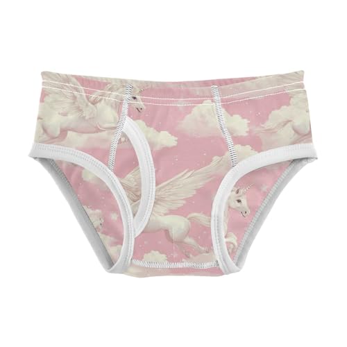 Winged Unicorns Boys' Underwear Cotton Clouds Boys Briefs Soft Toddler Underwear 2T
