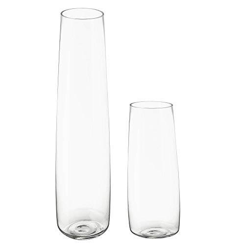 TIED RIBBONS Set of 2 Flower Vase for Living Room (Transparent, 29 cm & 16.5 cm) - Glass Vase Pot for Water Plants Home Decor Dining Table Decoration Bedroom Hall Aesthetic House Warming Gift