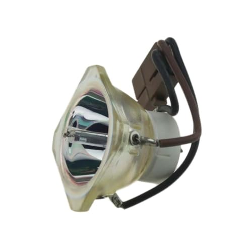 Ampoule de projecteur VIEWSONIC RLC-030 pour PJ503D lampe de rechange RLC-030-CB