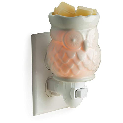 CANDLE WARMERS ETC Pluggable Fragrance Warmer- Decorative Plug-in for Warming Scented Candle Wax
