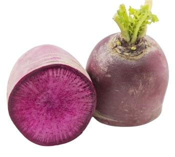 【朝市場直行】神奈川県ほか　紅くるり大根　1本　約250～300g【冷蔵】のサムネイル