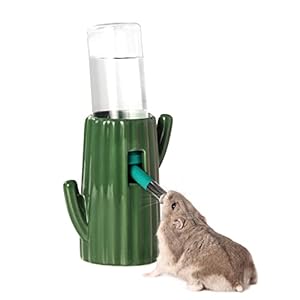 BUCATSTATE Cactus Ceramic Leakproof Hamster Water Bottle Guinea Pig Water Bottles Rabbit Water Bottle with Holder Water Feeder for Small Animals