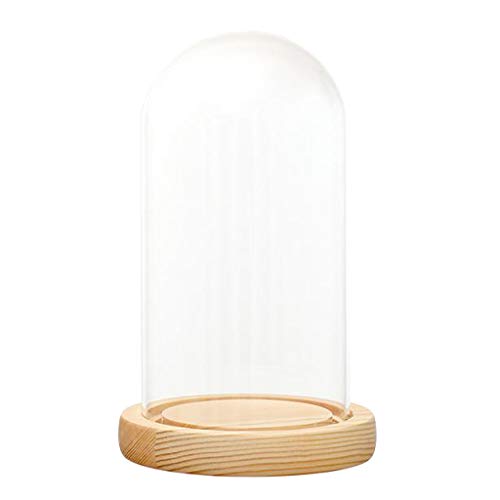 SM SunniMix Cúpula de Campana de Cristal con Base Luz Florero Hogar Boda Decoración, D 10x18cm