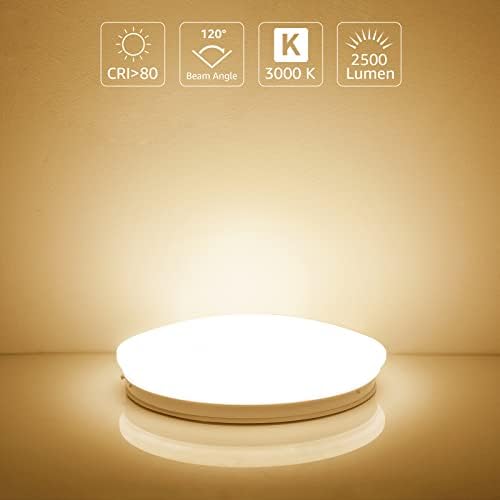 Lepro Ceiling Lights, 24W 2500lm, 3000K Warm White, Flush Ceiling Lighting Fitting for Kitchen, Bedroom, Cloakroom, Porch, Hall, Lounge and More, φ30cm Round