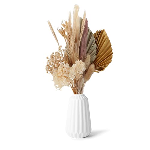 gazechimp Decoração de flores secas, arranjos de folhas e plantas para decoração vaso de decoração d