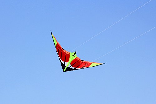 Hengda Kite Us Sky Kite New 5.9Ft 1.8M Stunt Swift Kite Outdoor Sport Fun Toys Novelty Dual Line Delta #TOP1