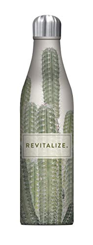 Studio Oh! Insulated Stainless Steel Water Bottle, 25 Oz, Revitalize #TOP12