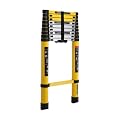 LUISLADDERS Telescoping Ladder, 12.5ft Aluminum Extension Folding Telescopic Ladder Lightweight 330lbs Max Capacity, Multi Purpose RV Ladder for Outdoor Work